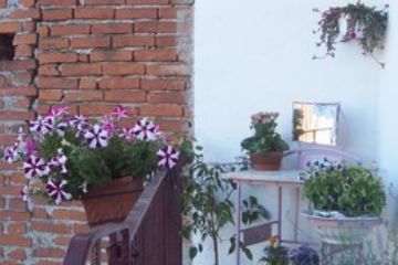 Tania Donino<br>il soggetto richiama le nostre radici contadine, il passato attualizzato verso il futuro