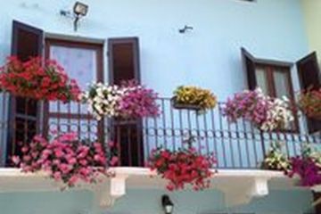 Sfoglia la galleria
