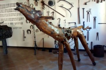 Sfoglia la galleria