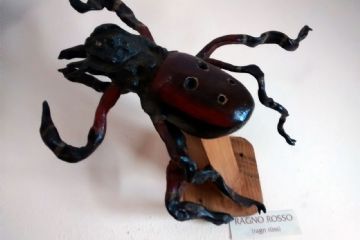 Il ragno rosso - Museo dei Ceppi Piero Baudo