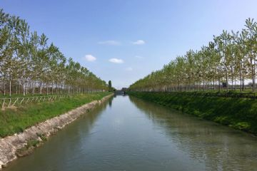 Il Canale Cavour
