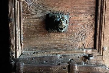 La testa leonina sulla porta di accesso laterale