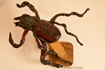 Il ragno rosso - Museo dei Ceppi Piero Baudo