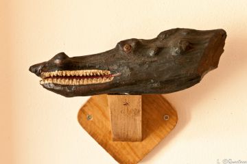 L'alligatore - Museo dei Ceppi Piero Baudo