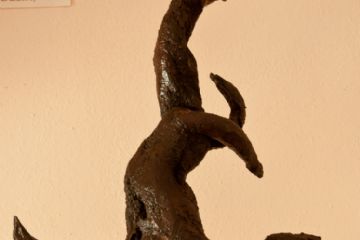 La donnola -  Museo dei Ceppi Piero Baudo