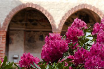 Nel chiostro