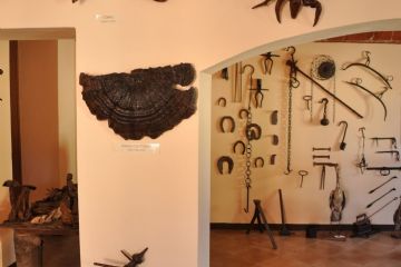 Pinocchio, cobra, serpente - Museo dei Ceppi Piero Baudo