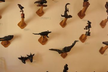 Animali vari -  Museo dei Ceppi Piero Baudo