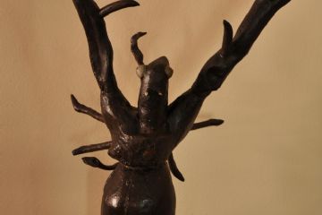 Il Cervo volante - Museo dei Ceppi Piero Baudo