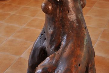 La rana - Museo dei Ceppi Piero Baudo