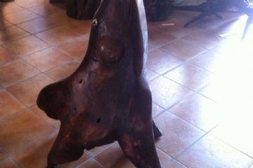 La rana - Museo dei ceppi Piero Baudo
