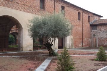 Fuori il chiostro