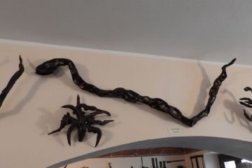 Il cobra e il granchio - Museo dei Ceppi Piero Baudo