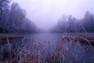 Lama del Fiume Sesia - Inverno (Ft. C. Malinverni)