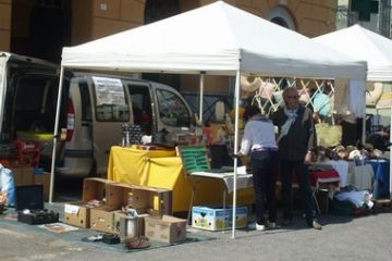 Sfoglia la galleria