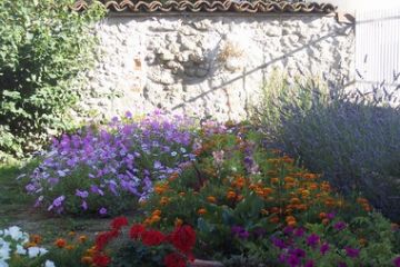 Massimiliano Tacconi<br>l'autentico angolo fiorito dell'anno per la varietà dei colori e dei fiori, nonchè per la creatività degli accostamenti