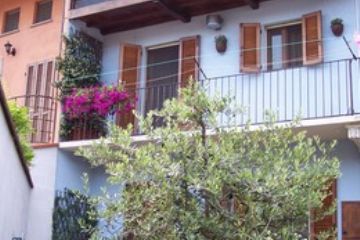 Daniela Marchetti<br>L’autentico angolo fiorito dell’anno per i colori sgargianti dei fiori e per il felice accostamento anche ad una pianta come l'ulivo, simbolo della pace e della giustizia.
