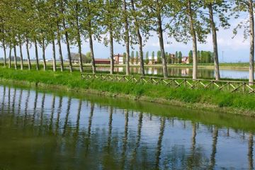 Specchio d'acqua