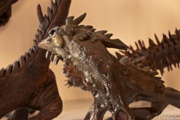 Dinosauri - Museo dei Ceppi Piero Baudo
