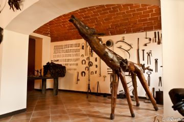 La giraffa - Museo dei Ceppi Piero Baudo