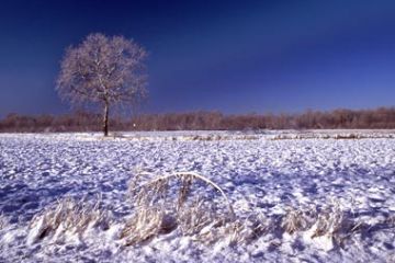 La nostra Campagna -  Inverno (Ft. C. Malinverni)